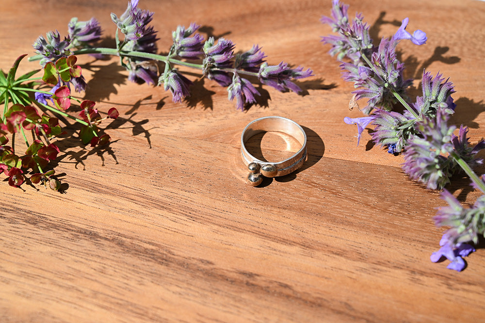 Continental Divide Adjustable Ring Shiny Silver and Brass